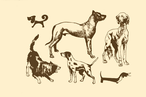 動(dòng)物圖案狗圖片