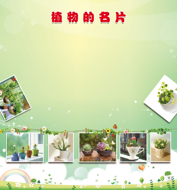 綠色植物