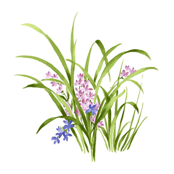 位圖植物寫意花卉花朵野花免費素材