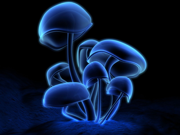 電腦壁紙圖片