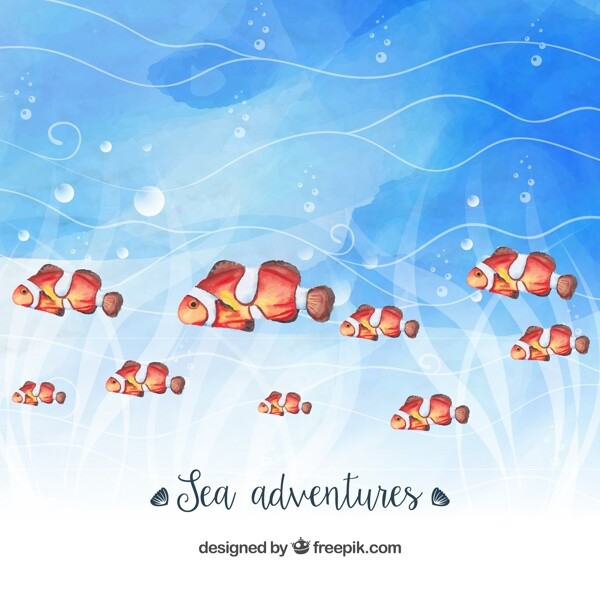 彩绘海底小丑鱼群矢量素材