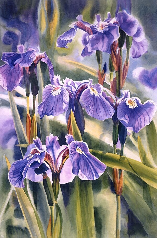 位圖寫(xiě)意花卉植物花朵免費(fèi)素材