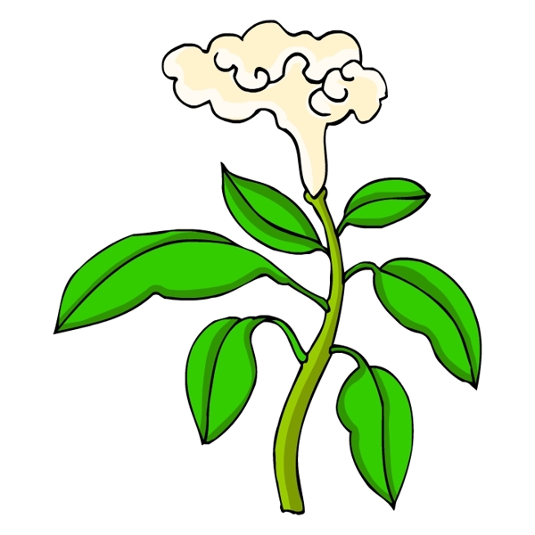 花卉古典插畫