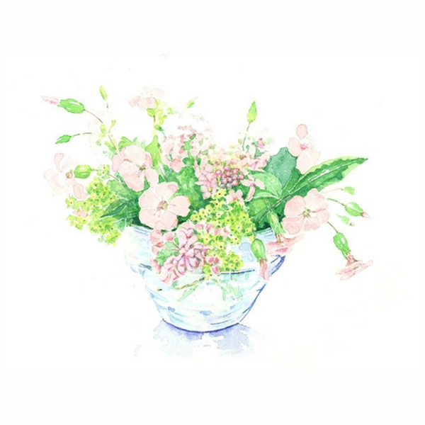 位圖植物寫意花卉花朵野花免費素材