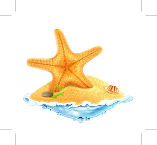 海星
