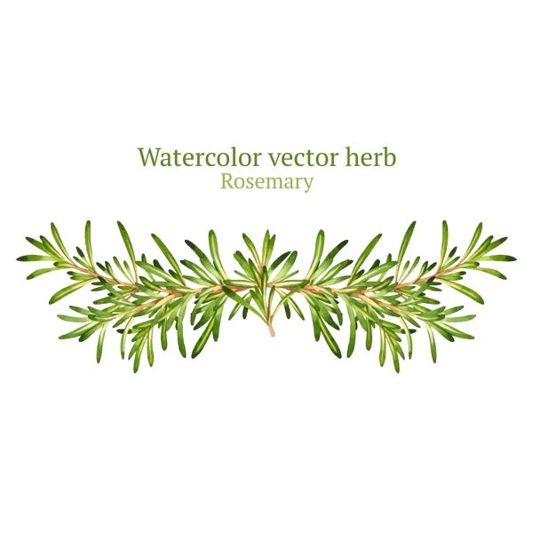 时尚清新植物插画