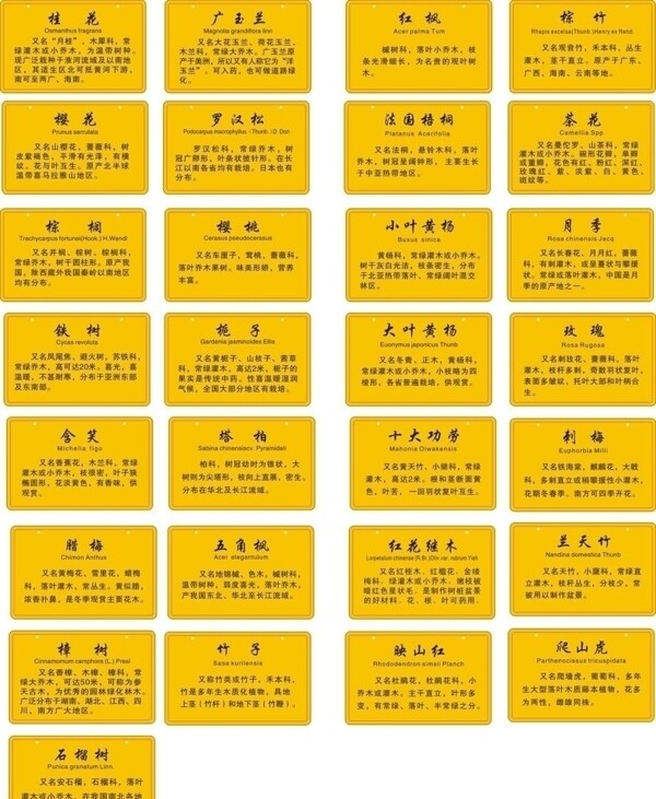 花木標(biāo)識牌圖片