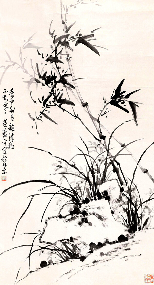 兰草竹石图图片