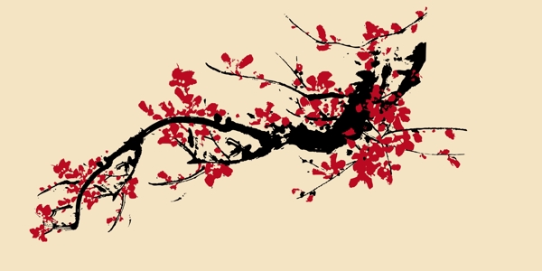 梅花圖片