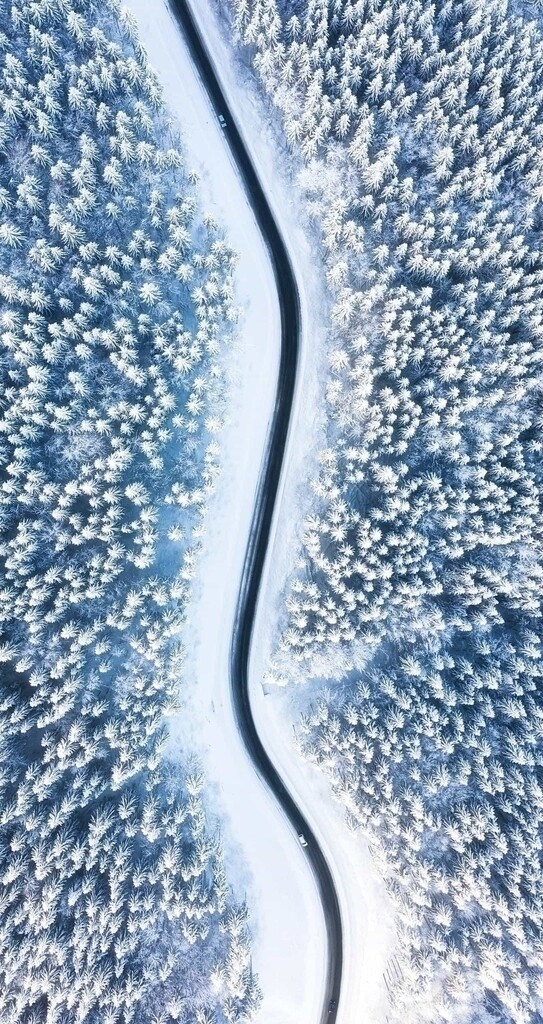 雪原图片