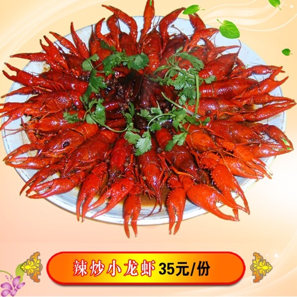 小龍蝦圖片