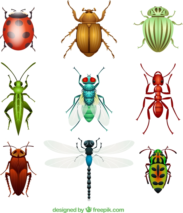 9种昆虫设计矢量素材
