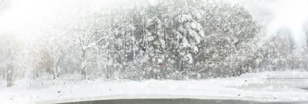 雪景