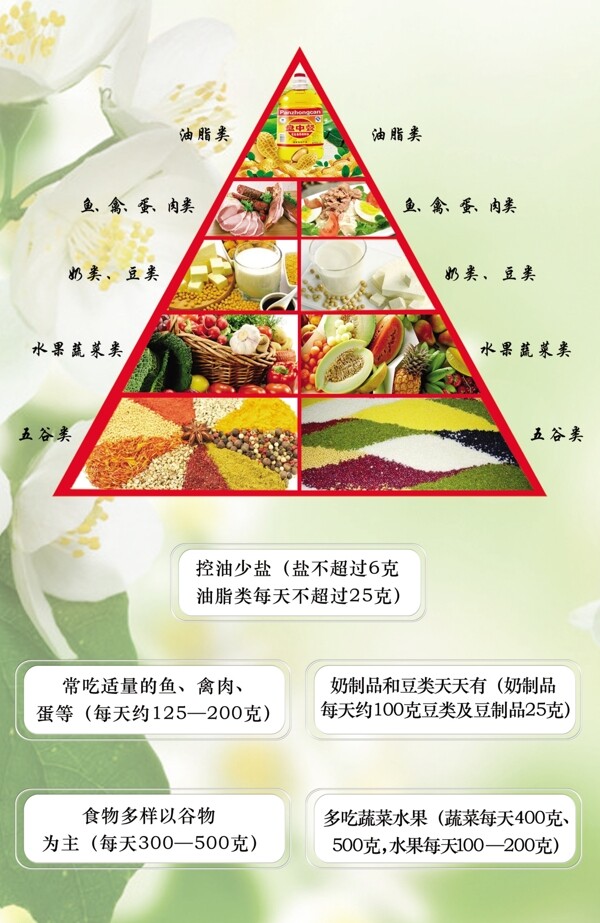 科学饮食金字塔