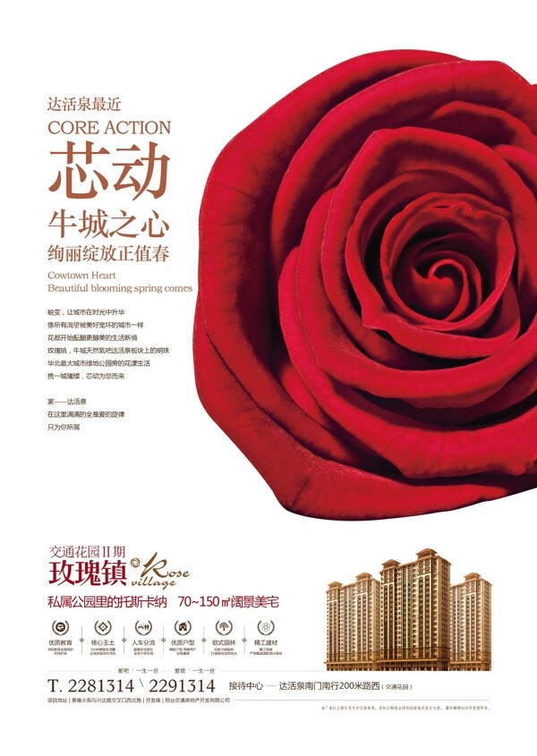 玫瑰鎮(zhèn)DM單圖片