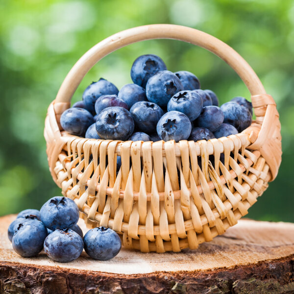 水果篮蓝莓