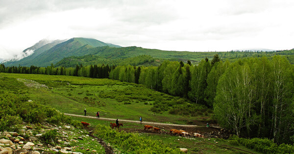 山區(qū)景觀圖片圖片