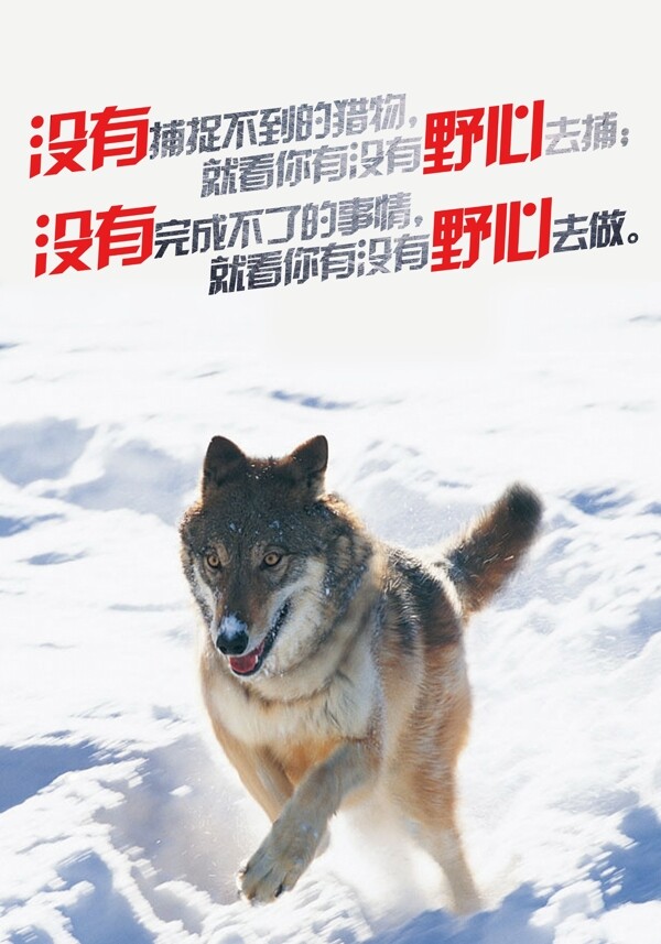 狼性团队宣传海报11