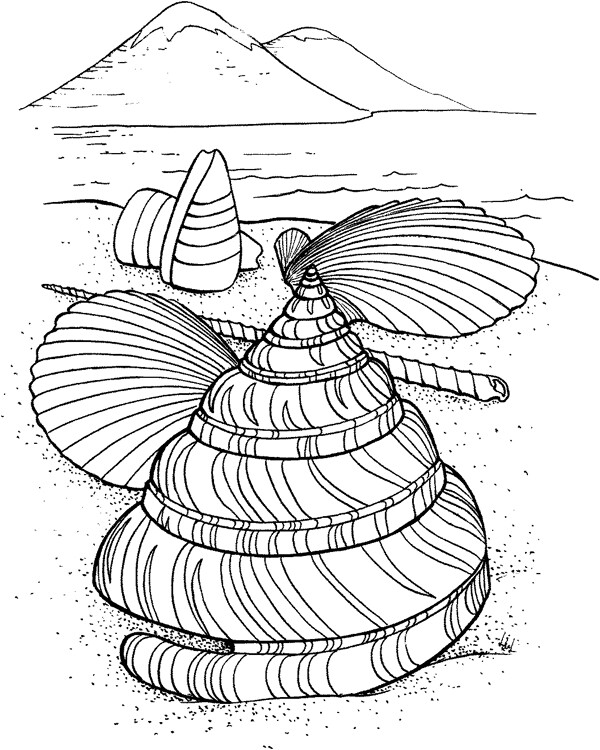 海贝海螺040