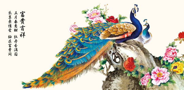 孔雀牡丹国画图片