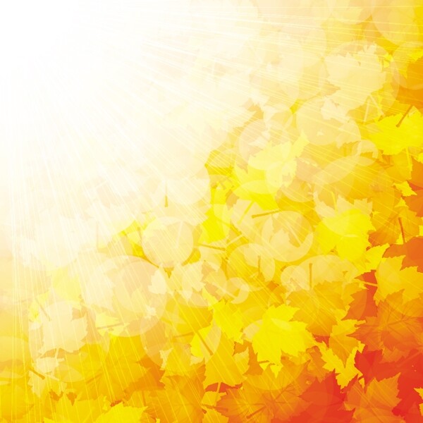 金色秋天背景图片