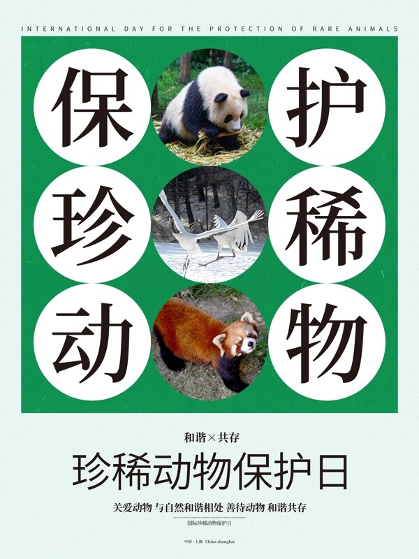 简约国际珍稀动物保护日海报