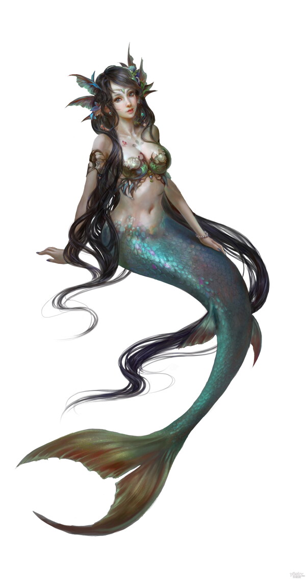 美人魚圖片