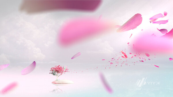 清新粉色花瓣淘寶全屏banner背景