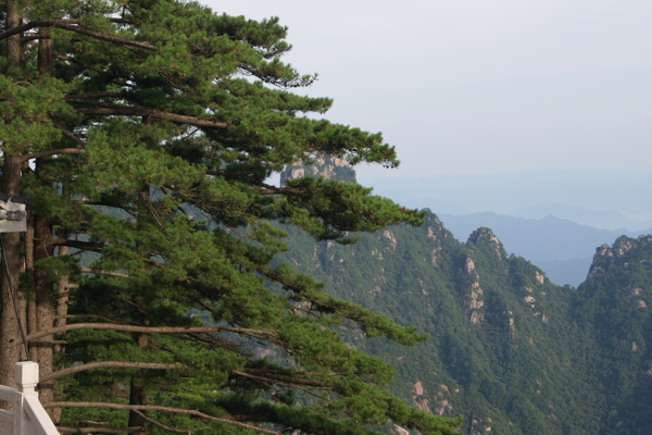 黃山