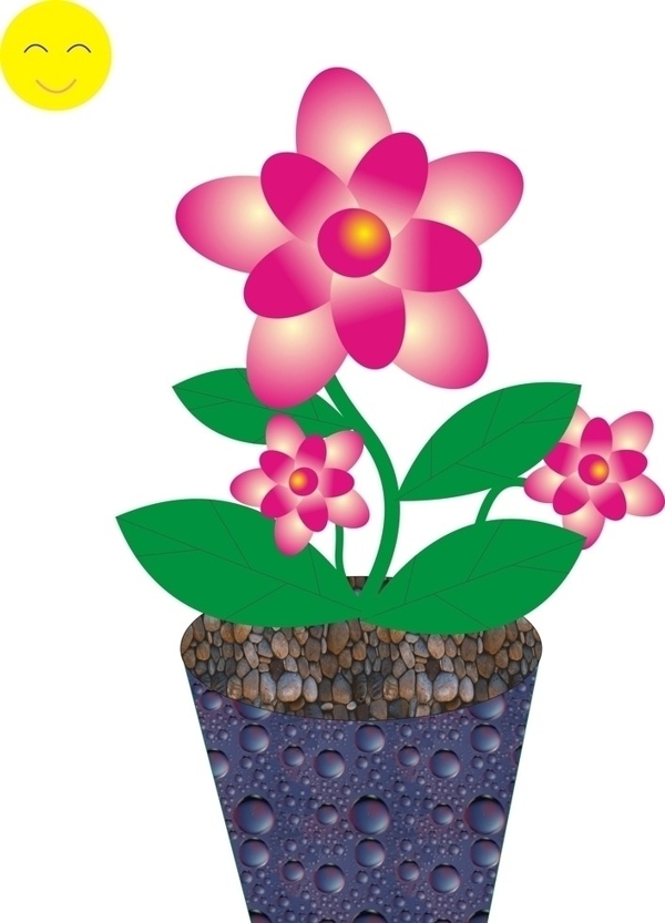 盆栽花圖片