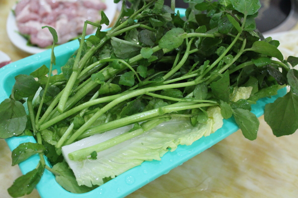蔬菜雜菜青菜圖片