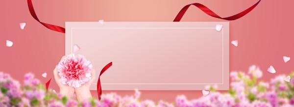 护士节康乃馨花朵卡片背景图片
