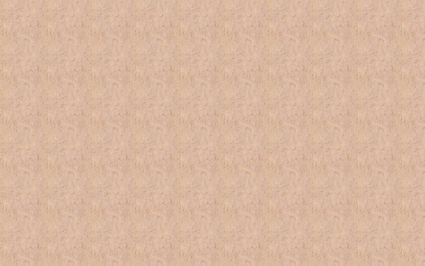 紙的背景250