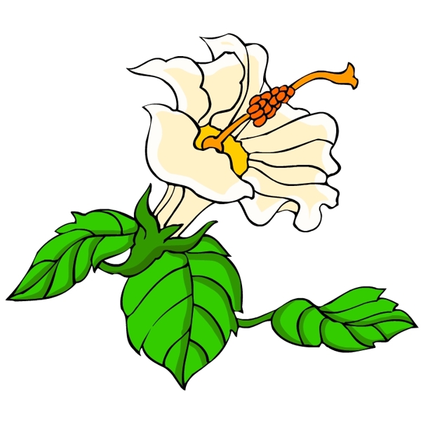 花卉古典插畫
