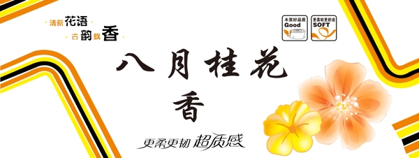 衛(wèi)生紙
