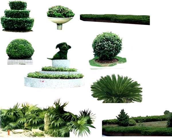 植物分层素材图片