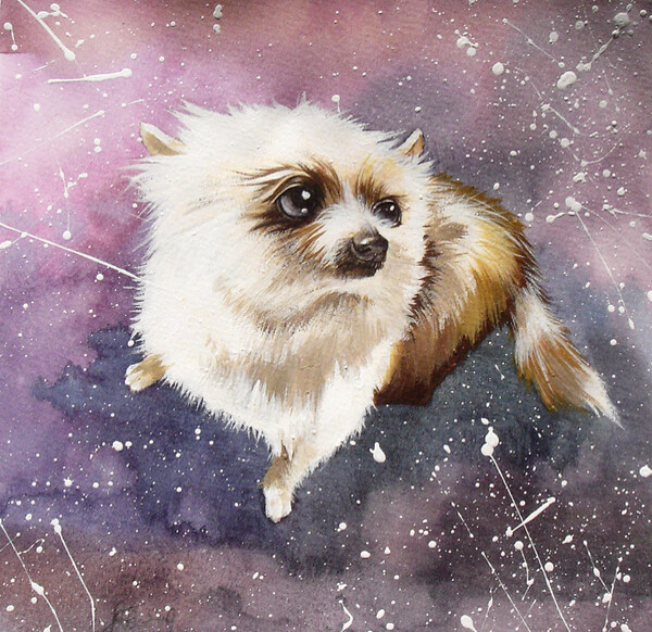 位图插画动物插画艺术效果手绘免费素材