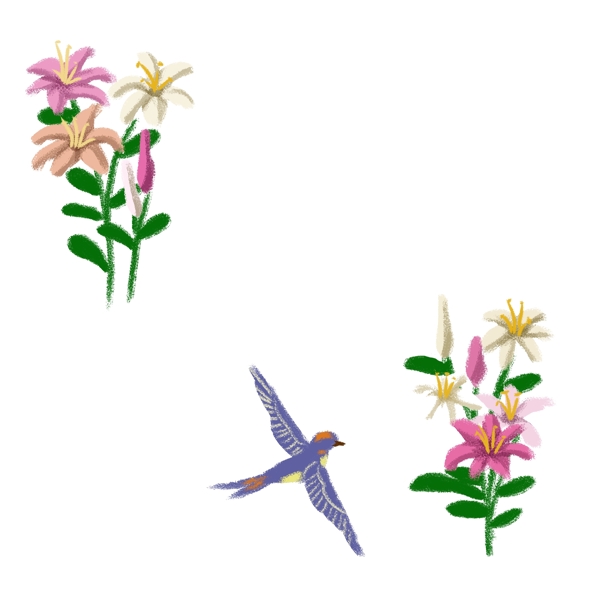 春夏季节花鸟边框百合花和燕子PNG