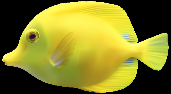黄色海底热带鱼免抠png透明图层素材