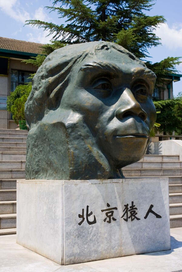 北京猿人