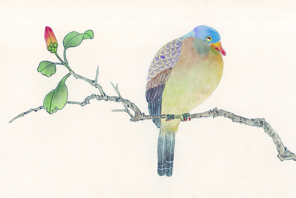 國畫樹枝與鳥圖片