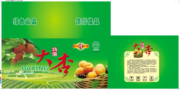 大杏圖片