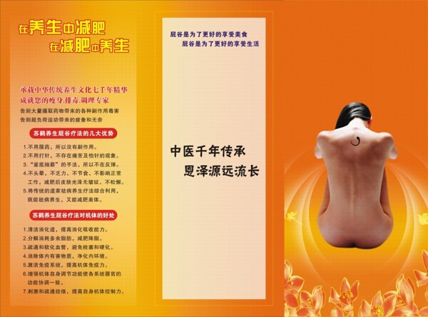 養(yǎng)生保健三折頁模板