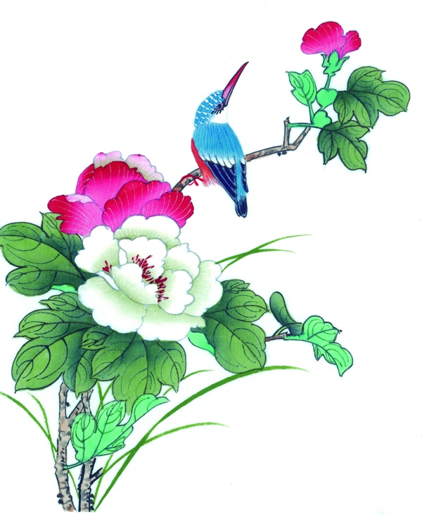 植物與鳥圖片