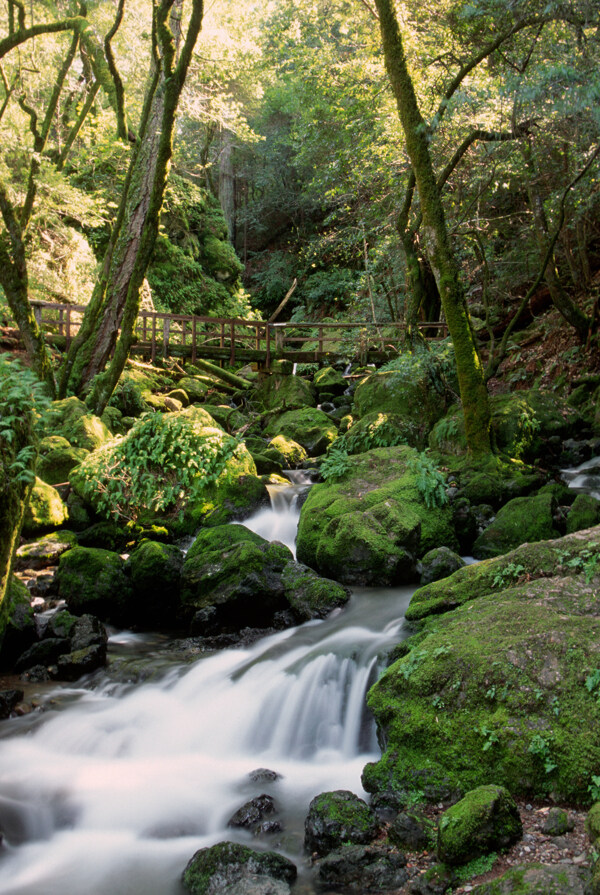 青山绿水瀑布美景图片