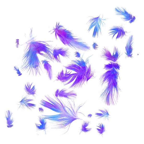 飘落蓝紫色渐变羽毛漂浮设计元素背景底纹