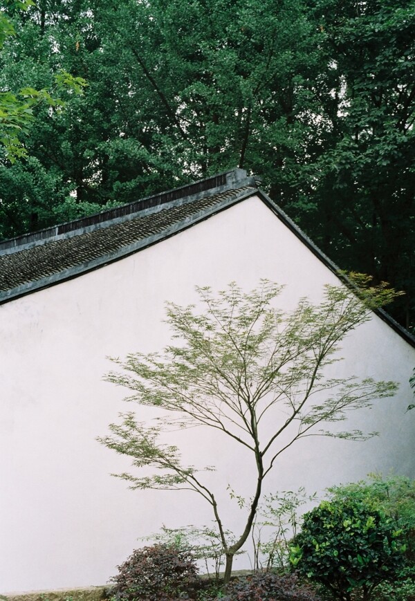 墻影圖片