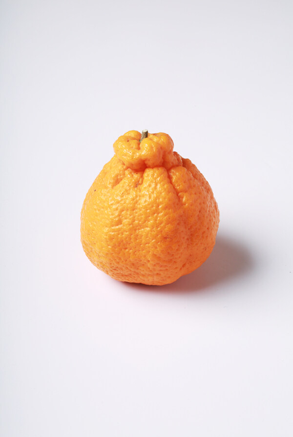橘子静物
