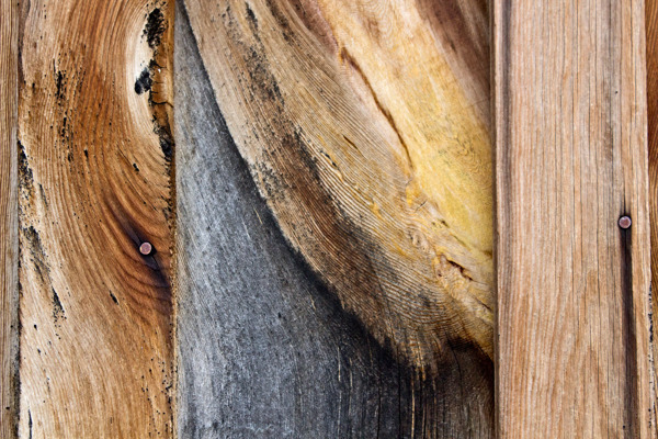 木材表面纹理82