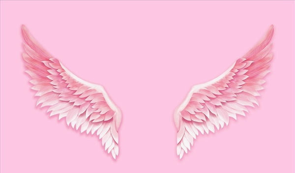 粉色天使翅膀